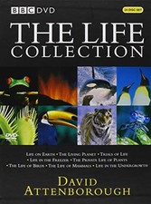 The Life Collection: David