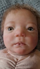 Gorgeous Reborn newborn baby