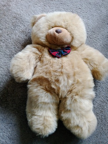 Big teddy bare - teddy,