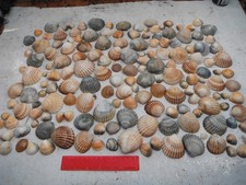 job lot of 150 mixed size/