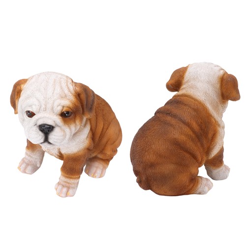 English bulldog puppy - english,