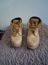Caterpillar Cat Colorado Honey