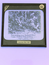 Hop-picking near Paddock Wood (Kent) old glass/ lantern slide/ photograph (As Fo