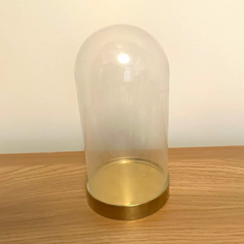 Clear glass cloche dome with - cloche,