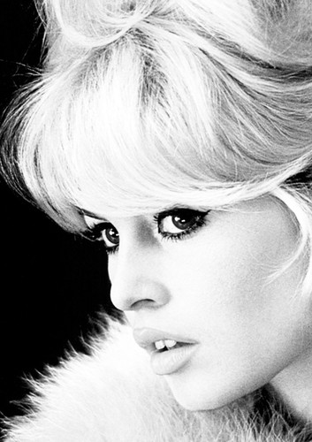 Brigitte bardot monochrome - bardot,