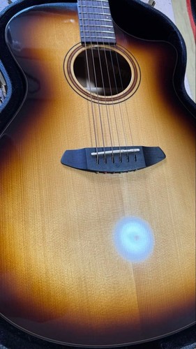 Breedlove artista pro concert - artista,