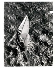 LG100 1966 Original Photo SAILBOAT CRUISING ON GULF STREAM MIAMI FLORIDA AERIAL