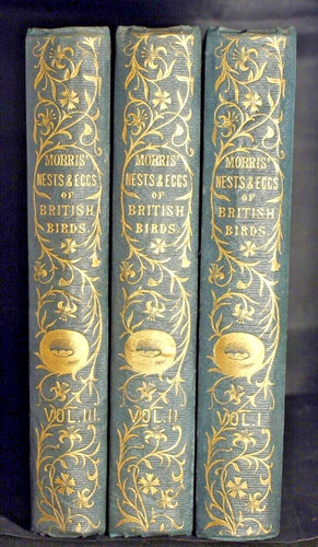Morris a natural history - f.o.,