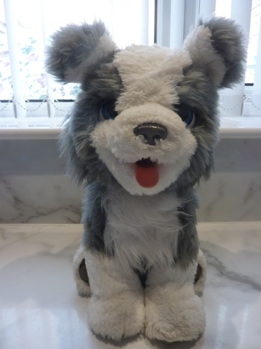 Furreal ricky the trick lovin - the, trick-lovin'