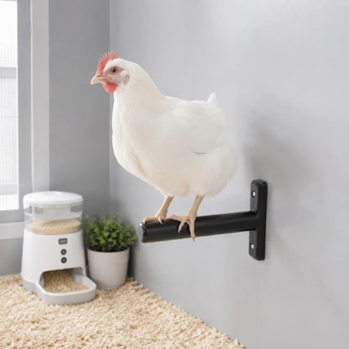Plastic chicken roosting bar - chicken,