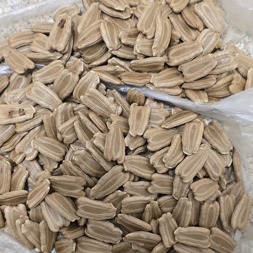 Bangladeshi lau khodu seeds - lau,