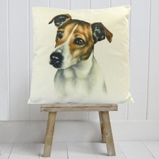 Jack Russell Terrier Dog