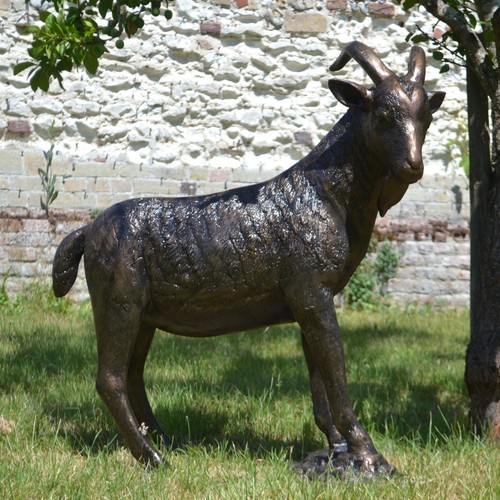 Billy goat bronze - billy,