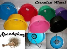 Speedyhog 16" Exercise Wheel -