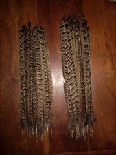 40 HEN PHEASANT TAIL FEATHERS 12" FLY TYING ART.FLORAL DISPLAY,HAIR,JEWELLERY