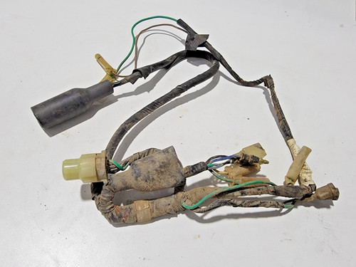 Mail wiring harness - wiring, loom