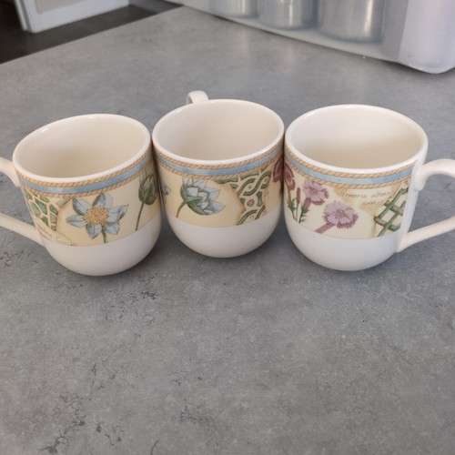 Wedgewood home garden - wedgewood, 3