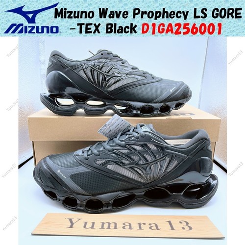 Mizuno wave prophecy - mizuno,