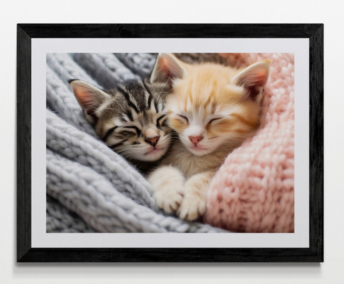 Cute kittens cat framed - cat,