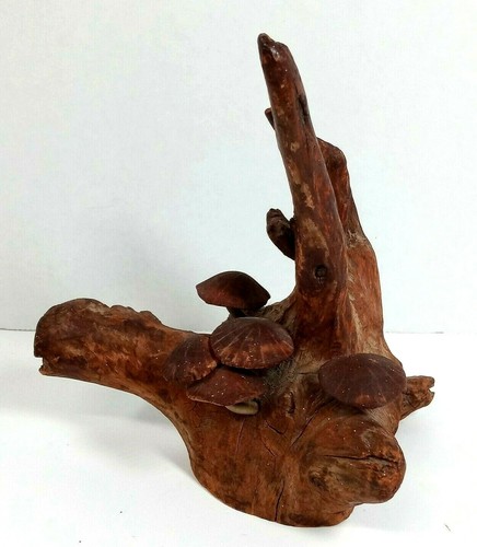 Vintage mcm oak tree - mcm, root