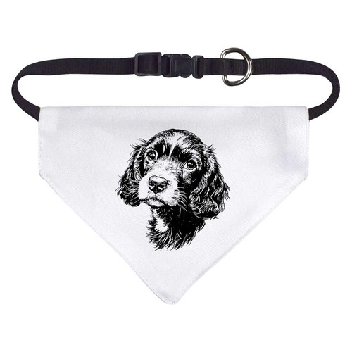 Cocker spaniel puppy dog - dog, /