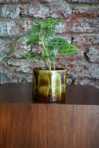 Vintage green brown abstract - &,