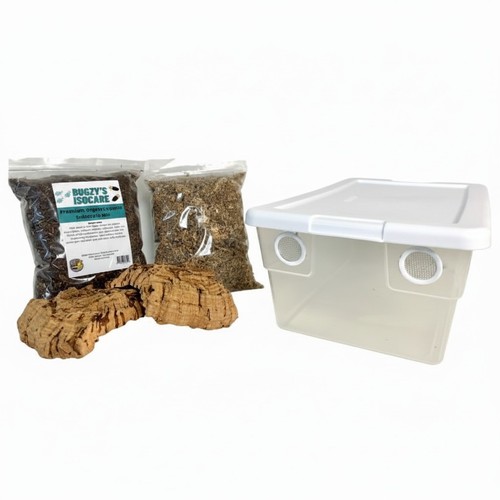 Vivarium accessories starter - accessories,
