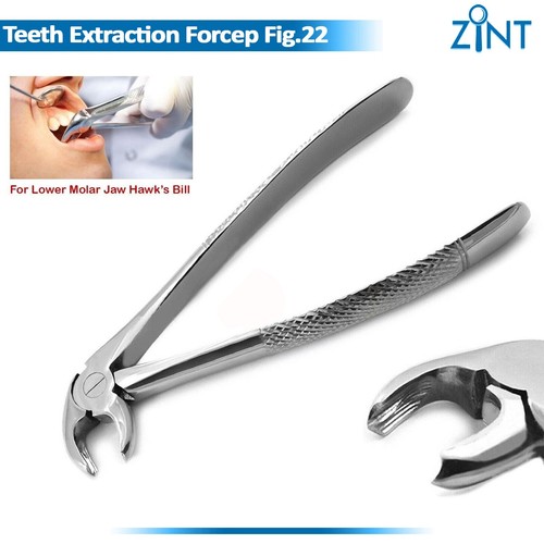 Dental extracting forceps - extracting,