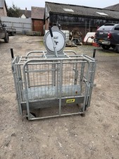 IAE Sheep/ Lamb Weighing