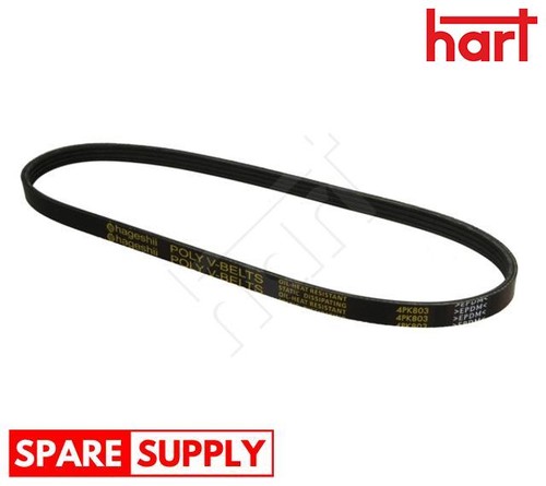 Ribbed belt for bmw - v-ribbed,