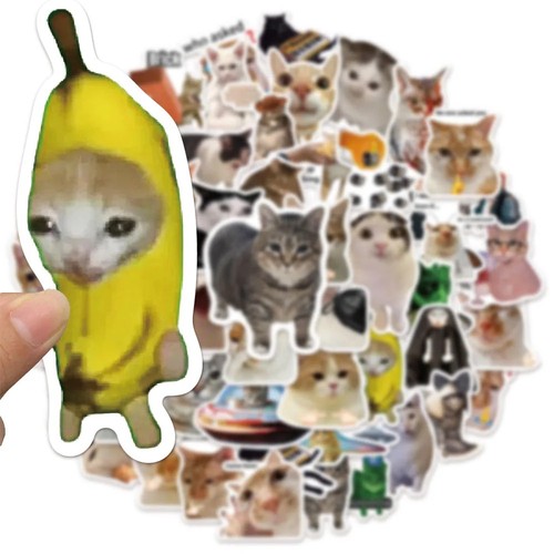 100pcs cat meme stickers - meme,