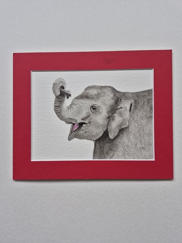 Original elephant watercolour - original,