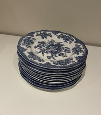 12 beautiful blue dinner dozen