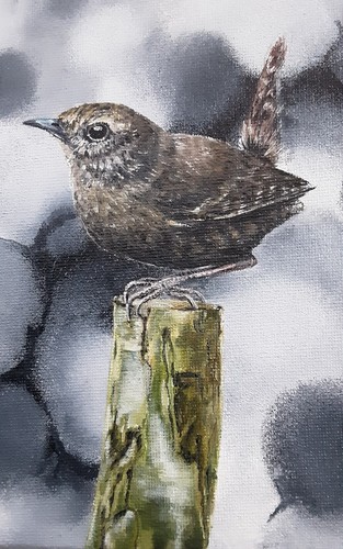 Painting original oil wren - original,