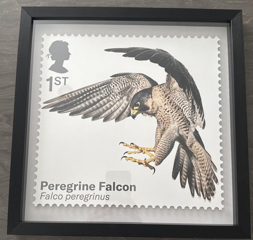 Royal mail birds prey - birds,