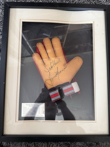 David seaman signed - david,
