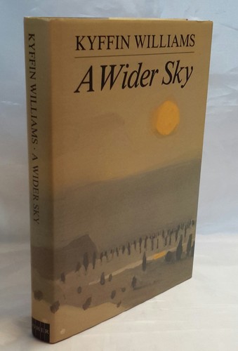 Kyffin williams wider sky - kyffin, williams,