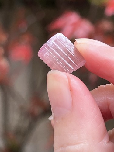 Pink tourmaline rod terminated - tourmaline,