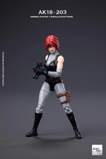 BorisPing AK18-203 1/18 Scale