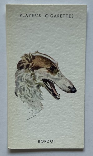 Player dogs heads - dogs’,