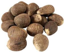 Fair Trade Ecuador Tagua Nuts