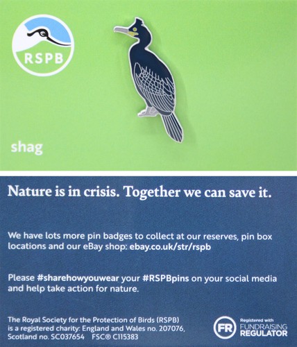Rspb pin badge - niic, shag