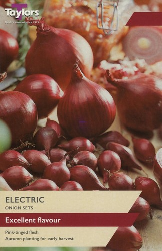 Onion set electric excellent - set,