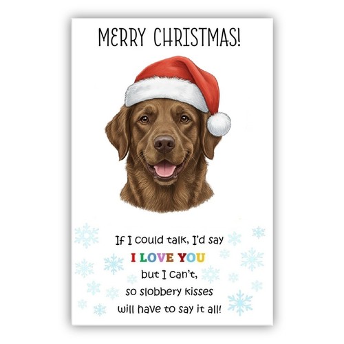 Chesapeake bay retriever dog - bay,