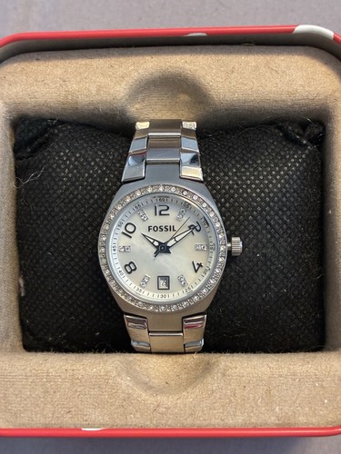 Nib fossil women colleague - nib,