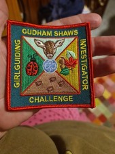 Girlguiding  Cudham Shaws Investigator Challenge  Badge