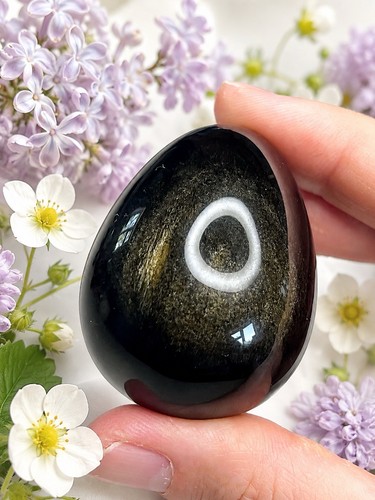 Gold shimmer obsidian egg - shimmer,