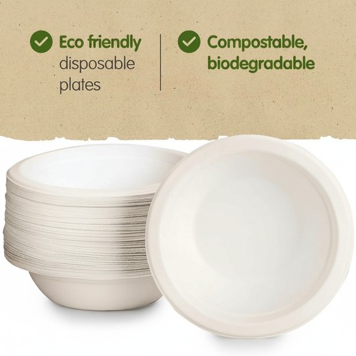 Bagasse bowls party plates - bagasse,