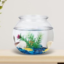 Transparent small aquarium