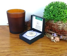 Somerset Ilminster Hildoceras